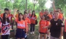 山东队女球迷爆料新闻,揭秘赛场背后的故事