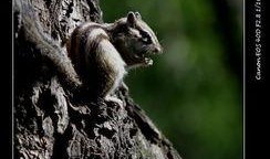 天涯最新爆料松鼠教育,揭秘教育行业背后的秘密